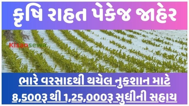 agricultural-relief-package-for-gujarat-due-to-heavy-rain