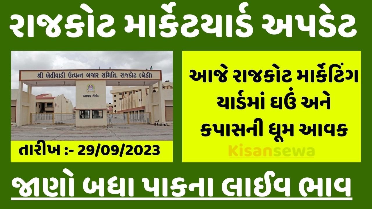 huge-income-of-cotton-and-wheat-in-rajkot-apmc