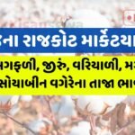 Rajkot apmc latest bhav 11 october 2023