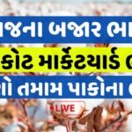 Rajkot apmc latest bhav 13 october 2023