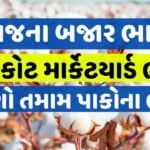 Rajkot apmc latest bhav 27 october 2023