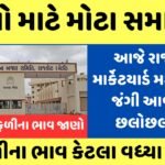 rajkot market yard increase income of Groundnut check of Groundnut