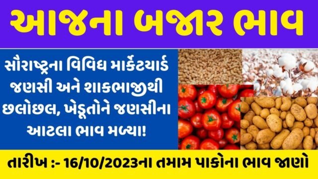 today rajkot apmc and gondal apmc increase crops check today apmc rate