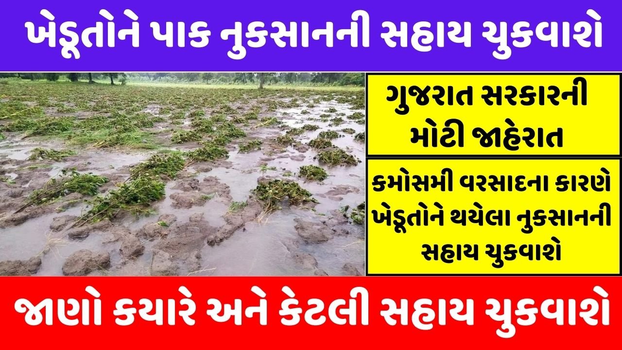 gujarat crop damage spreads from unseasonal rain farmers will be compensate